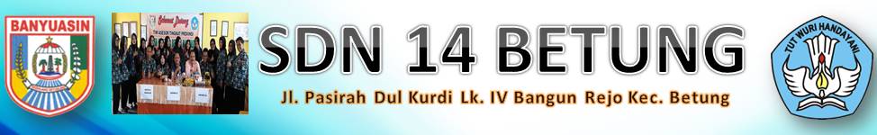 SDN 14 BETUNG